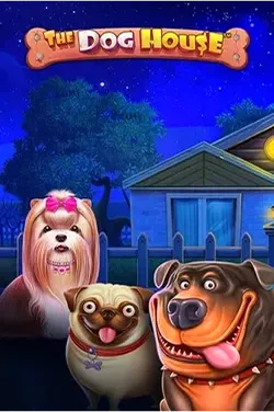 Slot The Dog House z trzema rasami psów